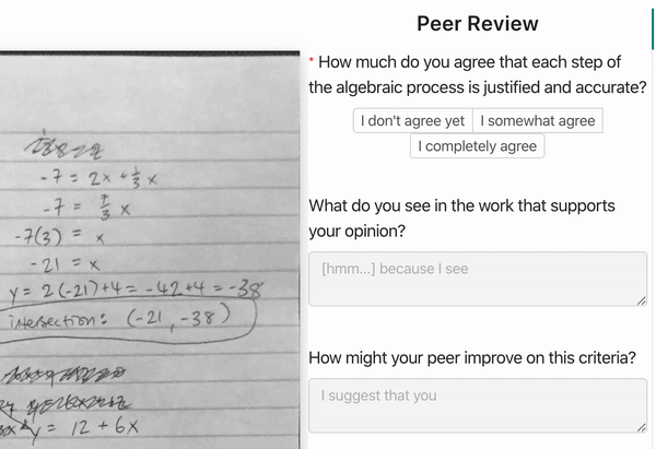 peer-review-image
